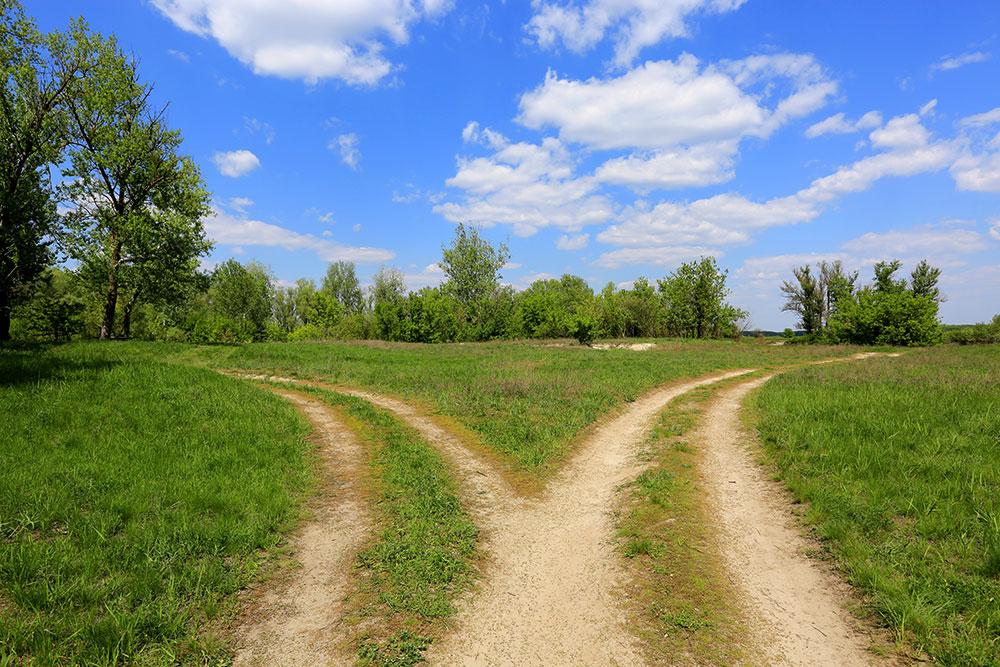 Scenario paths